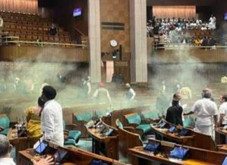 Security breach at Parliament; Speaker will investigate in detail