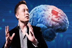 Elon Musks brain chip implants