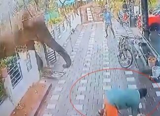 Operation Belur Magna