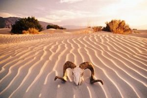 Death Valley hottest temperature