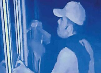 സംവിധായകൻ ജോഷിയുടെ വീട്ടിലെ വൻ കവർച്ച; പ്രതി ഉഡുപ്പിയിൽ പിടിയിൽ robbery at director Joshi's house