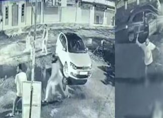 ആലുവയിൽ ഗുണ്ടാ ആക്രമണം; നാലുപേർക്ക് പരിക്ക്- 4 പേർ കസ്റ്റഡിയിൽ Goonda attack