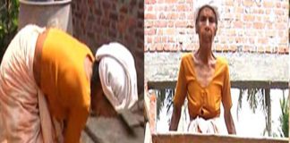 കത്രീന അമ്മൂമ്മ വേറെ ലെവൽ ആണ്; 95ആം വയസിലും വാർക്കപ്പണിയിൽ സജീവം katrina