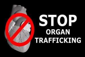Organ trafficking