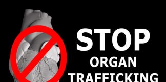 Organ trafficking