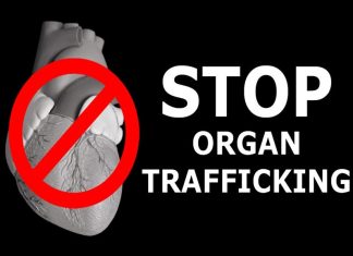 അവയവക്കടത്ത്; മനുഷ്യക്കടത്തിൽ ഉൾപ്പെട്ടത് 50 പേരടങ്ങുന്ന സംഘടിത കുറ്റവാളി സംഘം Organ trafficking