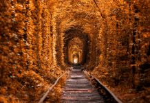 tunnel-of-love