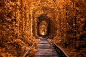 tunnel-of-love