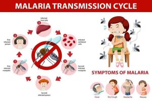health crisis symptoms in Ponnani