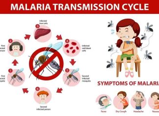 പൊന്നാനിയിൽ ആരോഗ്യപ്രതിസന്ധിയുടെ ലക്ഷണം health crisis symptoms in Ponnani