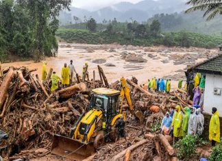 Landslides News