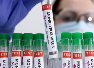 മങ്കി പോക്സ്; ഇന്ത്യയിലും ജാഗ്രതാ മുന്നറിയിപ്പ്- വിമാനത്താവളങ്ങളിൽ പരിശോധന Monkey fever