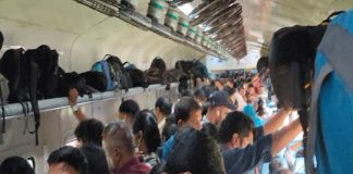 venad express