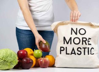 Plastic ban in Malappuram district from 2024 October 1