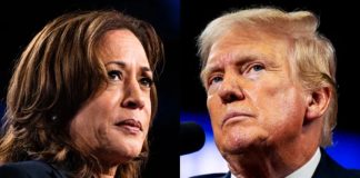 kamala haris donald trump