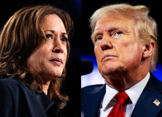 kamala haris donald trump