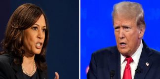 kamala harris and donald trump