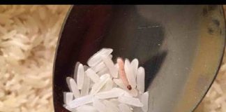 rice