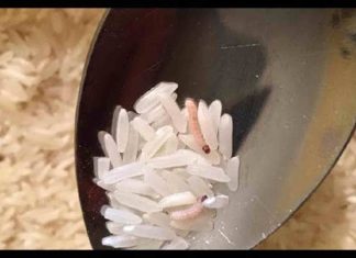 rice