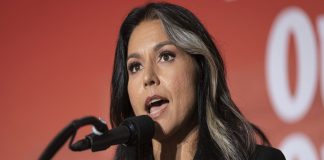 Tulsi Gabbard