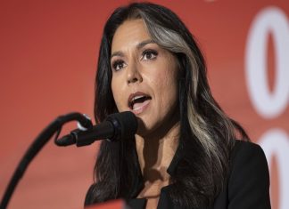 Tulsi Gabbard