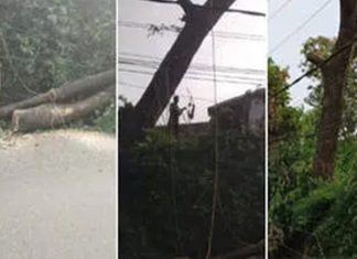 റോഡിന് കുറുകെ കെട്ടിയ കയർ കഴുത്തിൽ കുരുങ്ങി ബൈക്ക് യാത്രികന് ദാരുണാന്ത്യം Thiruvalla Accident