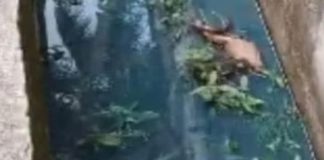 എലത്തൂരിൽ വീണ്ടും ഇന്ധന ചോർച്ച; പ്രശ്നം പൂർണമായി പരിഹരിച്ചെന്ന് എച്ച്പിസിഎൽ Gas Leake