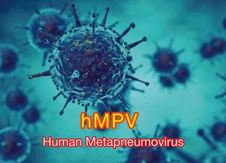 Human Metapneumovirus