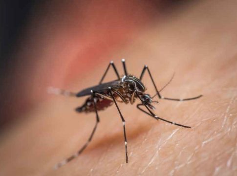Chikungunya concern in Kerala-Health Minister urges caution