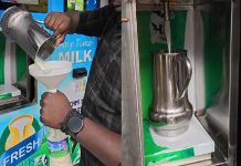 Milk ATM in Munnar