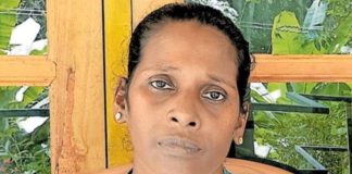 bindu