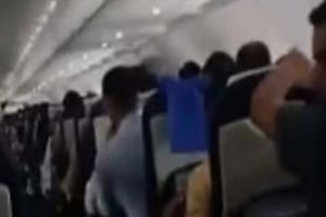 indigo flight