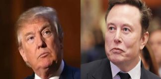 Donald Trump and Elon Musk