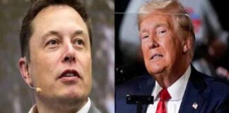 Elon Musk And Donald Trump