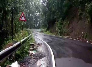 മണ്ണിടിച്ചിൽ ഭീഷണി; മാക്കൂട്ടം ചുരംപാതയിൽ ഭാരവാഹനങ്ങൾക്ക് നിരോധനം Makkoottam Churam