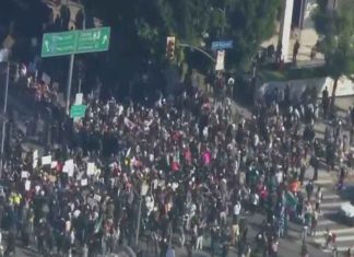 Los Angeles Protest