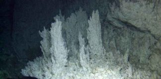 ജീവന്റെ സാന്നിധ്യം, ഒരുലക്ഷത്തിലധികം വർഷം പഴക്കം; സമുദ്രത്തിനടിയിൽ നിഗൂഢ നഗരം! Lost City in Atlantic Ocean