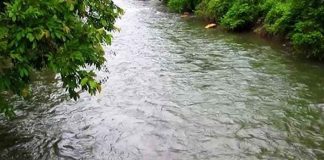 Bhavali river