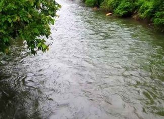 Bhavali river
