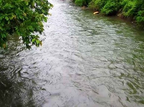 Bhavali river