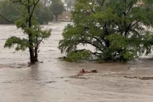 Texas Flood