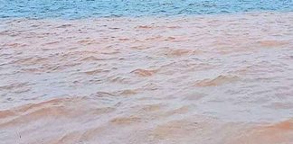 കടൽവെള്ളത്തിന് ഇളം ചുവപ്പ് നിറം! എന്തെന്ന് മനസിലാവാതെ എടക്കഴിയൂർ ഗ്രാമം red colour in sea