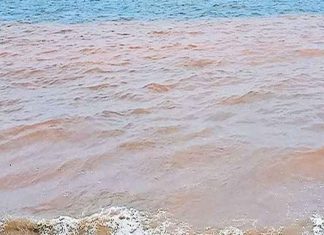 red colour in sea