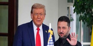 Donald Trump - Volodymyr Zelenskyy