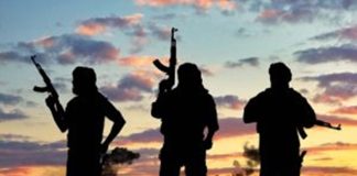 Terrorists Attack