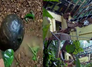 เดชเตเดเตเดเดฟเดคเตเดคเตเดฑเดฟเดเตเดเดคเต เดเดเตเดฐเดถเตเดทเดฟเดฏเตเดณเตเดณ เดชเดเดเตเดเด; เดเดฃเตเดฃเดชเตเดฐเด เดธเตโเดซเตเดเดจเดคเตเดคเดฟเตฝ เดเตเดธเตเดเตเดคเตเดคเต เดชเตเดฒเตเดธเต Kannur Explosion