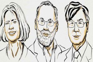 Medicine Nobel-2025