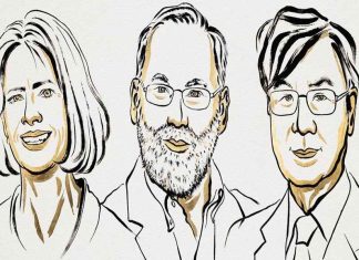 വൈദ്യശാസ്ത്ര നൊബേൽ മൂന്നുപേർക്ക്; പുരസ്കാരം പ്രതിരോധശേഷി ഗവേഷണത്തിന് Medicine Nobel-2025