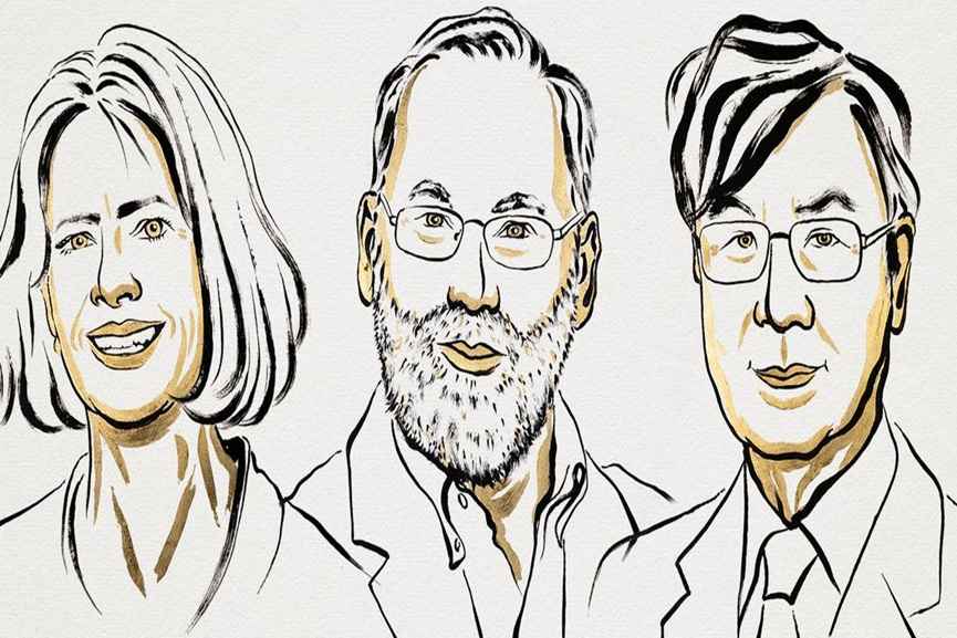 Medicine Nobel-2025 Medicine Nobel-2025