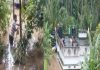 idukki rescue